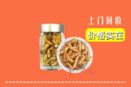 收购资讯:吉林回收散虫草