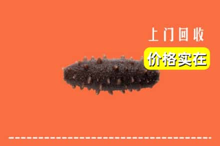 收购资讯:吉林回收海参